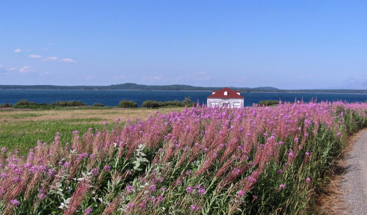 West Quoddy Station Llc 2* Lubec